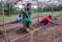 Geïntegreerde competitieve en continue familiale landbouw in Burundi: een aanpak die de kleine landbouwer toelaat om zijn perceel te ontwikkelen en meer opbrengst te hebben zonder negatieve impact.   
