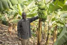 Système alimentaire durable - producteur de bananes - Burundi