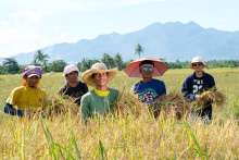 Groep rijstproducenten uit de Filipijnen 