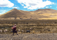 Visite au Pérou, acteurs locaux