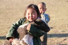Permacultuur en coöperaties: duurzame landbouw in Mongolië