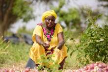 Une bénéficiaire de l'un de nos projets d'agroécologie au Sénégal, dans son champs d'oignons