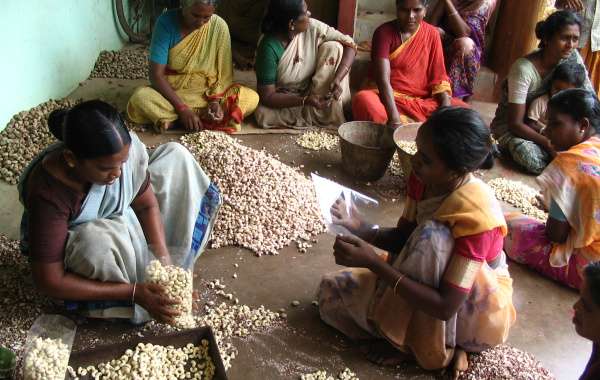 Vrouwen groeperen zich samen om zo cashew noten te pellen en te verkopen