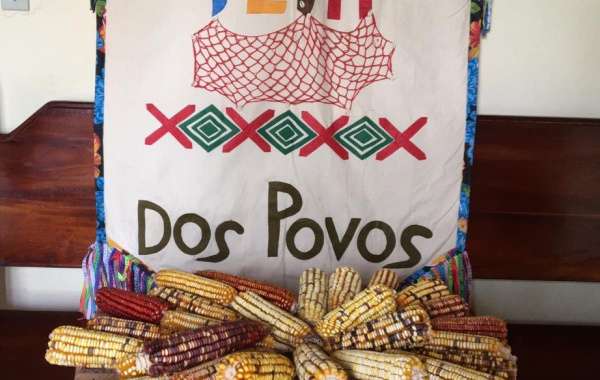 Project Teia dos Povos in Bahia (Brazilië)