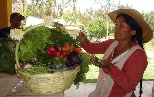 Paysanne bolivienne et sa production bio