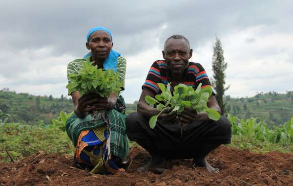 Couple de paysans rwandais