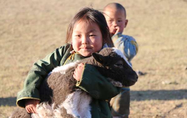 Permacultuur en coöperaties: duurzame landbouw in Mongolië